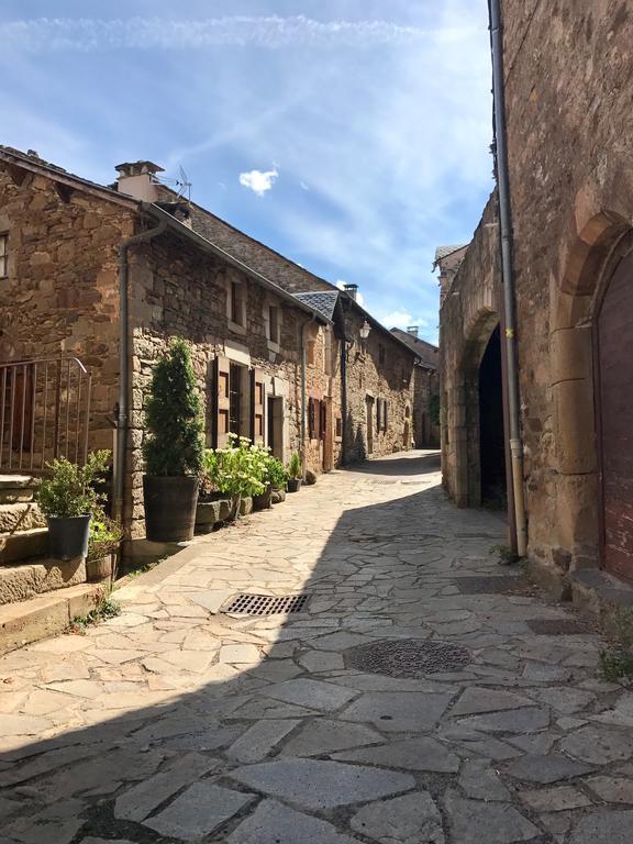 La Petite Maison Des Artistes Castelnau-Pegayrols Номер фото