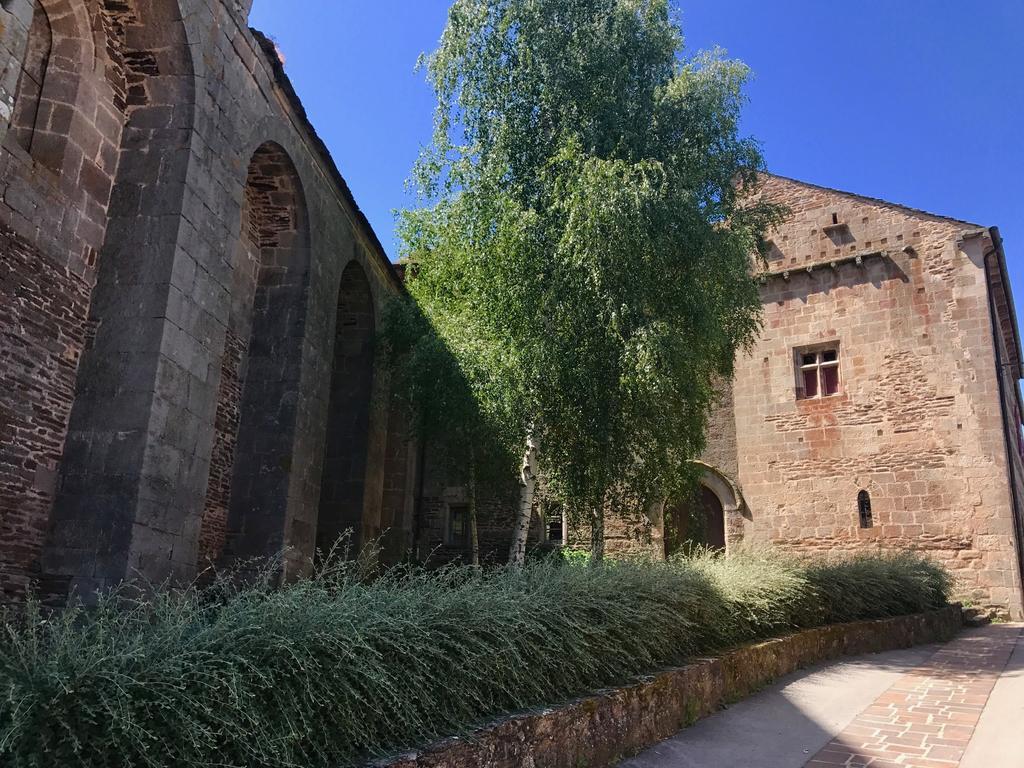 La Petite Maison Des Artistes Castelnau-Pegayrols Номер фото