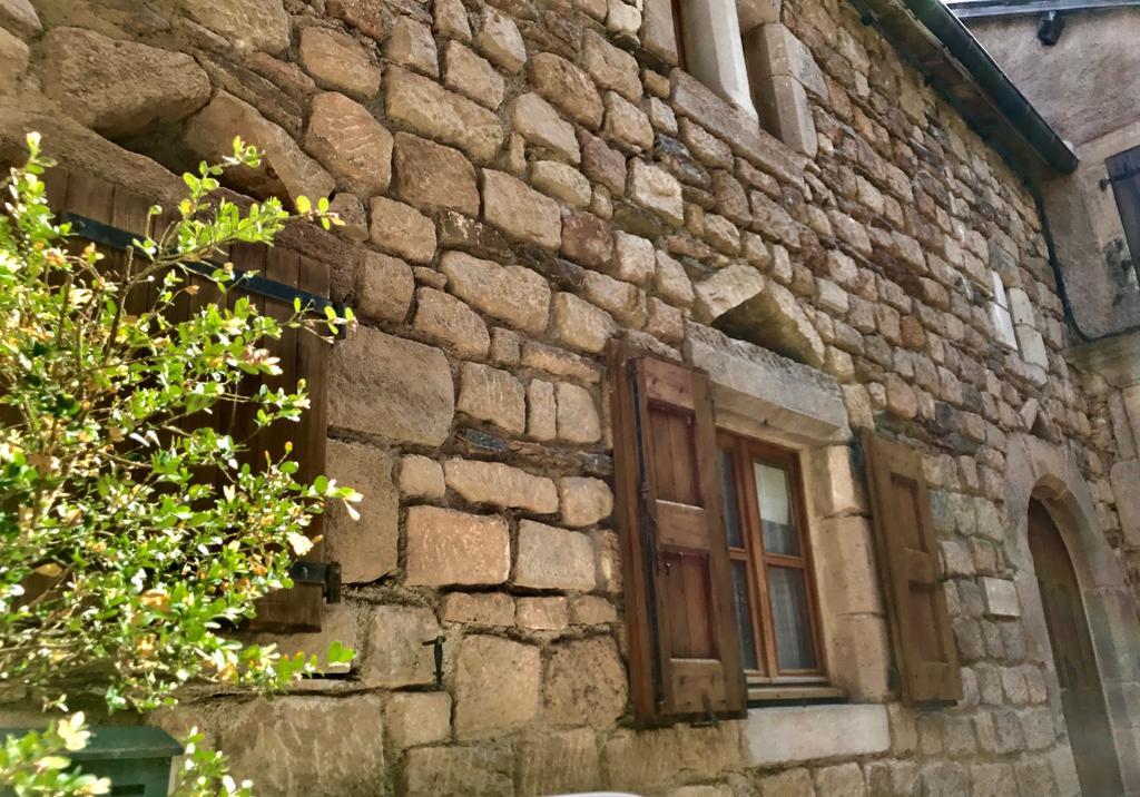 La Petite Maison Des Artistes Castelnau-Pegayrols Номер фото